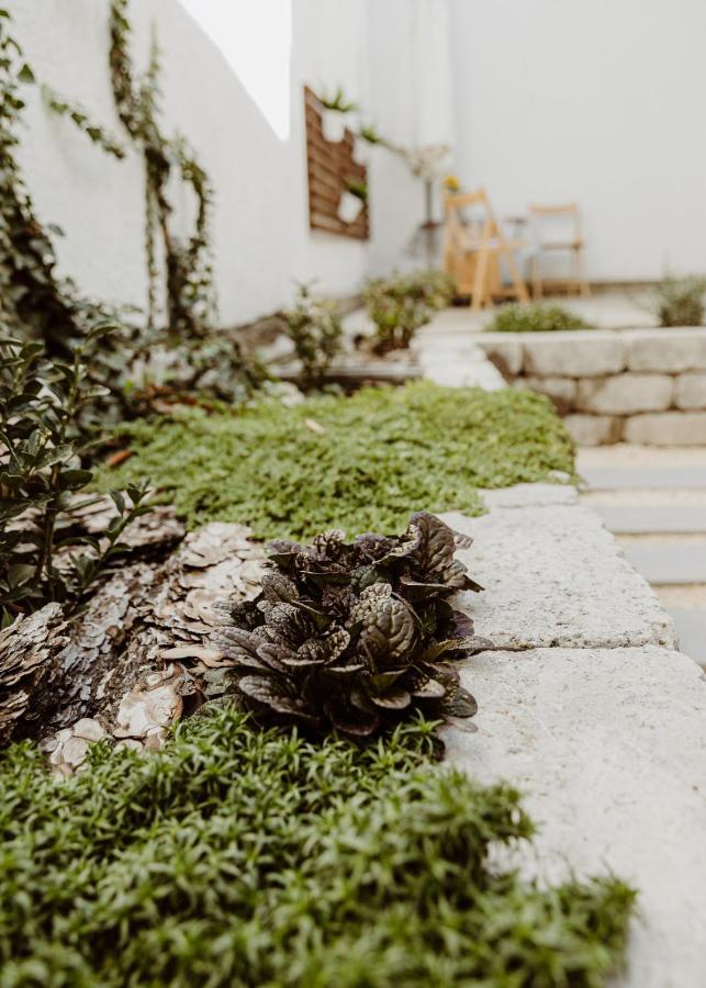 Major11 Apartman - Zsolnay Negyed Peçuy Dış mekan fotoğraf